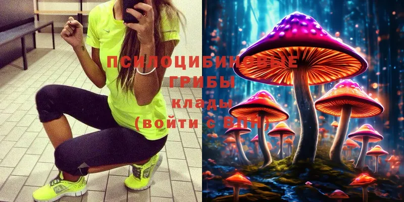 Галлюциногенные грибы MAGIC MUSHROOMS  закладка  Дальнегорск 